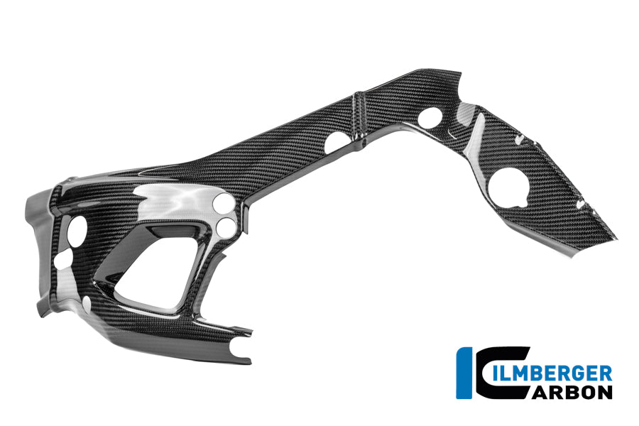 Protector de marco izquierdo Carbono brillo M 1000 RR Calle (desde 2025)