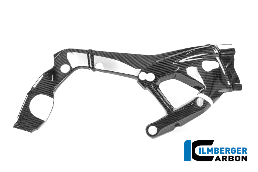 Protector de marco derecho Carbono brillo M 1000 RR Calle (desde 2025)