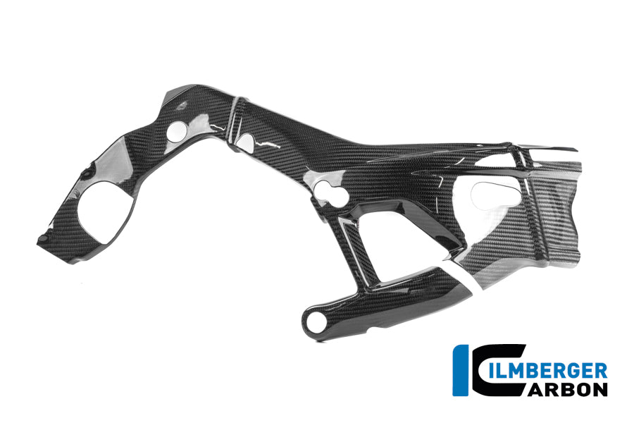 Protector de marco derecho Carbono brillo M 1000 RR Calle (desde 2025)