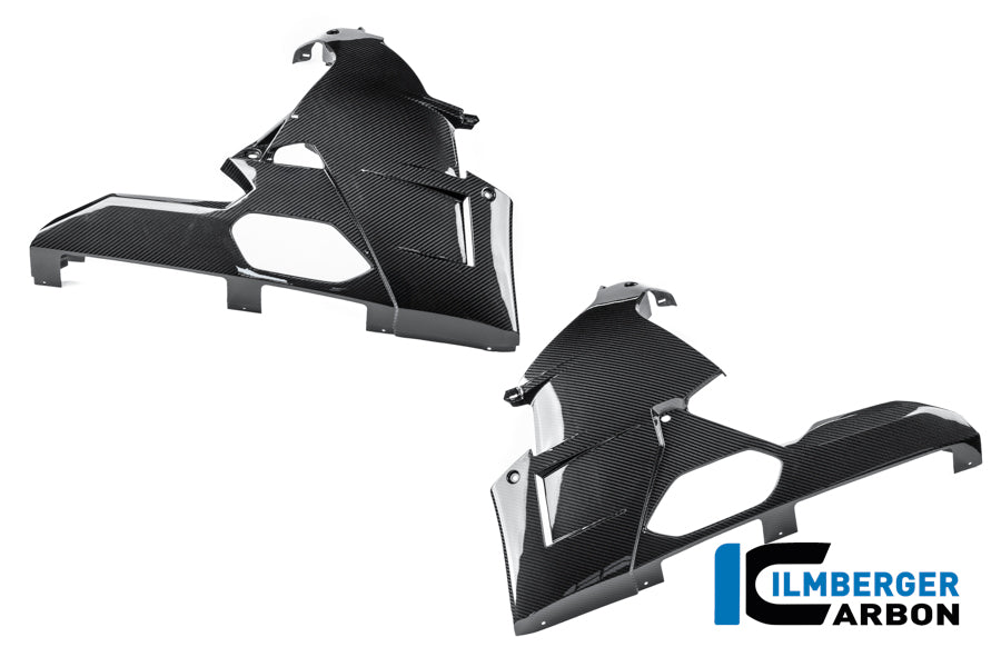 Kit de Spoiler de Motor Carbono brillo M 1000 RR Calle (desde 2025)