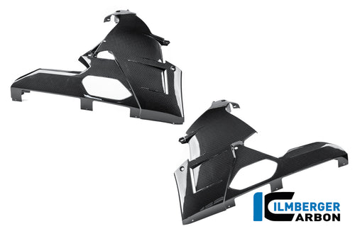 Kit de Spoiler de Motor Carbono brillo M 1000 RR Calle (desde 2025)