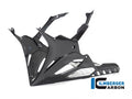 Bajo tank carbono Ilmberger BMW S1000RR 2019-2025 weave Lucid vista frontal