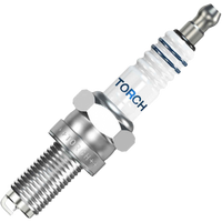 BUJIA DE IRIDIO CR8EIX TORCH