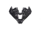 Carenado Ilmberger carbono instalado BMW S1000RR lateral derecho