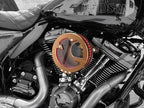 Vista trasera montaje filtro Vity's sobre manifold admisión Sportster