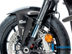 Guardabarros carbono Ilmberger montado en Ducati Streetfighter V2